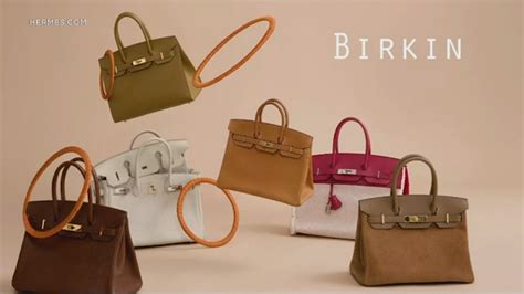 hermes birkin lawsuit|hermès targeted in lawsuit.